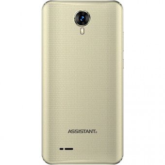 Assistant AS-5421 (gold)