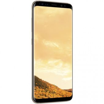 Samsung Galaxy S8+ 64GB Gold (SM-G955FZDD)