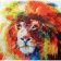 BeCover 3D Print для Xiaomi Redmi 5 Color Lion (702039)