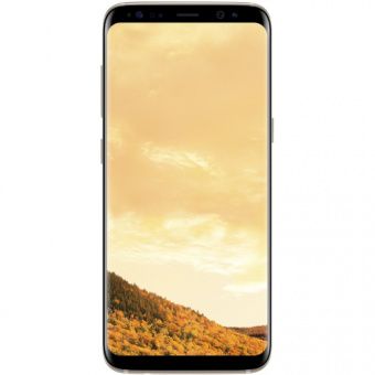 Samsung Galaxy S8+ 64GB Gold (SM-G955FZDD)